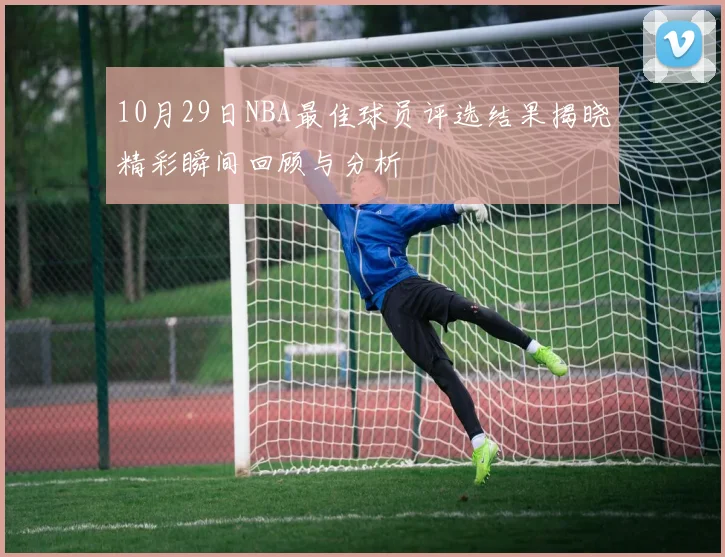 10月29日NBA最佳球员评选结果揭晓精彩瞬间回顾与分析