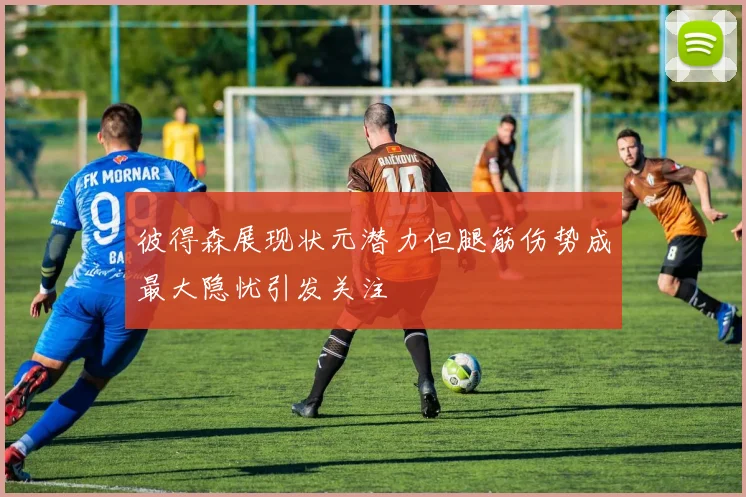 彼得森展现状元潜力但腿筋伤势成最大隐忧引发关注